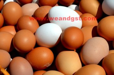 GST Rates & HSN Codes for Eggs, Honey & Milk