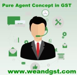 Pure Agent Concept in GST