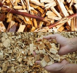 woodpulp